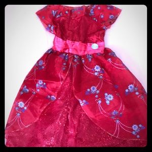 Disney Elenor of Avalor Costume.